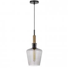 CAL Lighting FX-3779-1 - Swindon Glass Drop Pendant with Wood Accent