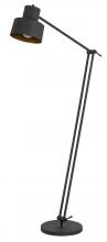  BO-2966FL - 60W Davidson metal floor lamp with weighted base, adjustable upper and lower arms. On off socket swi