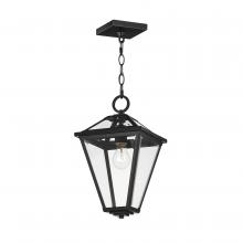  30569CLBK - Prism-Outdoor Pendant