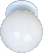  85889WTWT - Utility EE-Flush Mount