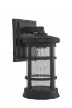  ZA2314-TB-C - Resilience Large Outdoor Lantern in Textured Black, Clear Lens