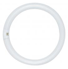 Satco Products Inc. S6509 - 20 Watt; T9; Circline Fluorescent; 4100K Cool White; 62 CRI; 4-Pin base