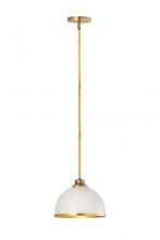  1004P10-MW-RB - 1 Light Pendant