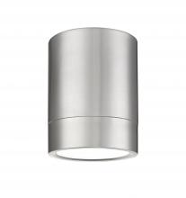  1006F6-BN-LED - 1 Light Flush Mount