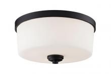  220F3 - 3 Light Flush Mount