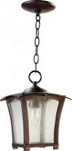 Quorum 7511-8-86 - GABLE 8" PEND - OB
